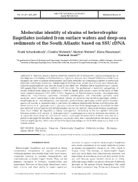 Molecular Identity of Strains of Heterotrophic Flagellates Isolated from Surface Waters and Deep-Sea Sediments of the South Atlantic Based on SSU Rdna