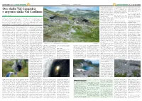 Oro Dalla Val Camadra E Argento Dalla Val Cadlimo