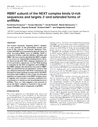 RBM7 Subunit of the NEXT Complex Binds U-Rich Sequences and Targets