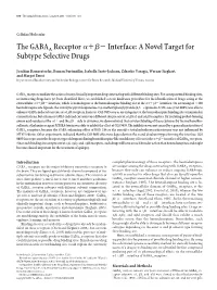 The GABAA Receptor Interface: a Novel Target for Subtype Selective Drugs