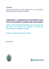 Component 1. Elaboration of Bucharest's Iuds, Capital