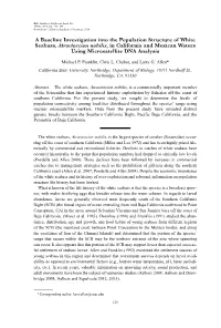 A Baseline Investigation Into the Population Structure of White Seabass, Atractoscion Nobilis, in California and Mexican Waters Using Microsatellite DNA Analysis
