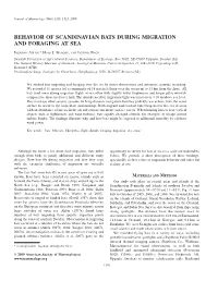 Behavior of Scandinavian Bats During Migration and Foraging at Sea