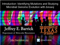 Breseq When Reproduced in Color the Wordmark Should Always Appear in the University of Texas at Austin's Signature Color, Burnt Orange (PMS 159)