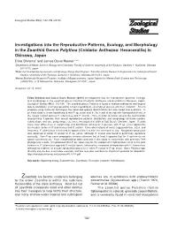 Investigations Into the Reproductive Patterns