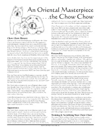 An Oriental Masterpiece ...The Chow Chow