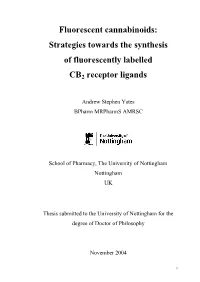 AY Thesis Version 16 4 05 Final Printed for Binding