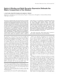 Ephrin-A Binding and Epha Receptor Expression Delineate the Matrix Compartment of the Striatum