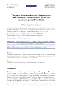 Thysanoptera, Phlaeothripidae, Idolothripinae) with a Key and a New Species from China
