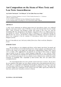 Ant Composition on the Stems of More Toxic and Less Toxic Anacardiaceae