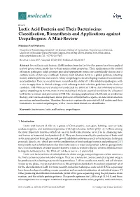 Lactic Acid Bacteria and Their Bacteriocins: Classiﬁcation, Biosynthesis and Applications Against Uropathogens: a Mini-Review