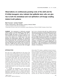 Observations on Continuously Growing Roots of the Sloth and the K14-Eda