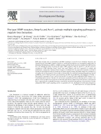 The Type I BMP Receptors, Bmpr1a and Acvr1, Activate Multiple Signaling Pathways to Regulate Lens Formation