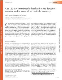 Cep120 Is Asymmetrically Localized to the Daughter Centriole and Is Essential for Centriole Assembly