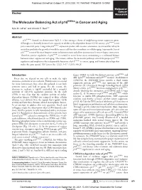 The Molecular Balancing Act of P16 in Cancer and Aging
