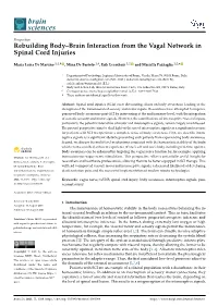Rebuilding Body–Brain Interaction from the Vagal Network in Spinal Cord Injuries