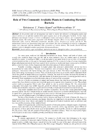 Role of Two Commonly Available Plants in Combating Harmful Bacteria