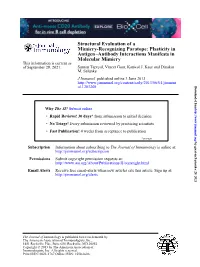 Antigen Mimicry-Recognizing Paratope