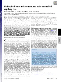 Bioinspired Inner Microstructured Tube Controlled Capillary Rise