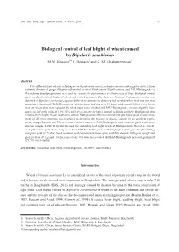 Biological Control of Leaf Blight of Wheat Caused by Bipolaris Sorokinian M.M