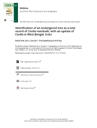Identification of an Endangered Tree As a New Record of Cordia Macleodii, with an Update of Cordia in West Bengal, India