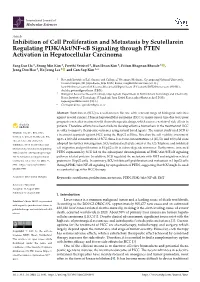 Inhibition of Cell Proliferation and Metastasis by Scutellarein Regulating PI3K/Akt/NF-Κb Signaling Through PTEN Activation in Hepatocellular Carcinoma