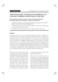 Luffa, Hermaphrodita : First Report of Its Distribution and Cultivation In