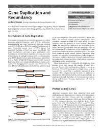 "Gene Duplication and Redundancy". In: Encyclopedia of Life Science