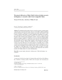 Gryllus Texensis) in Response to Acoustic Calls from Conspecific Males