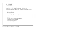 Hortax Presentation