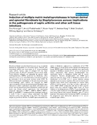 Induction of Multiple Matrix Metalloproteinases in Human