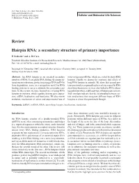 Review Hairpin RNA: a Secondary Structure of Primary Importance
