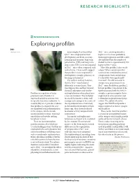 Exploring Profilin