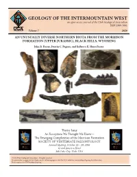 GEOLOGY of the INTERMOUNTAIN WEST an Open-Access Journal of the Utah Geological Association ISSN 2380-7601 Volume 7 2020
