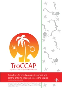 Troccap-Feline-Endo-Guidelines