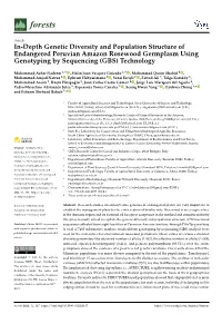 In-Depth Genetic Diversity and Population Structure of Endangered Peruvian Amazon Rosewood Germplasm Using Genotyping by Sequencing (GBS) Technology