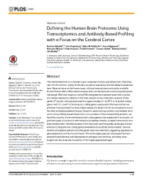 Defining the Human Brain Proteome Using Transcriptomics and Antibody-Based Profiling with a Focus on the Cerebral Cortex