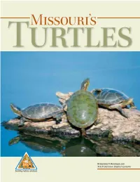 1 Missouri's Turtles