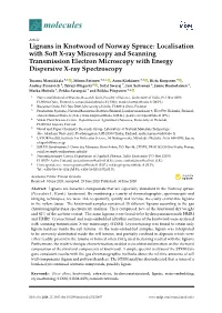 Lignans in Knotwood of Norway Spruce: Localisation with Soft X-Ray Microscopy and Scanning Transmission Electron Microscopy with Energy Dispersive X-Ray Spectroscopy