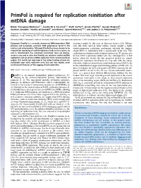 Primpol Is Required for Replication Reinitiation After Mtdna Damage