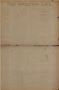 This Entire Document