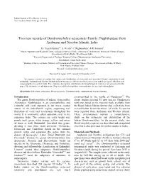 Two New Records of Dendronephthya Octocorals (Family: Nephtheidae) from Andaman and Nicobar Islands, India