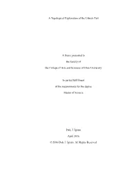 A Topological Explanation of the Urbach Tail a Thesis Presented To