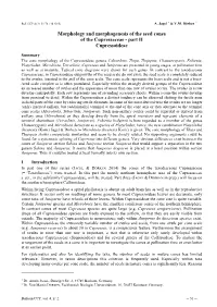 Morphology and Morphogenesis of the Seed Cones of the Cupressaceae - Part II Cupressoideae