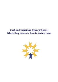 Carbon Emissions from Schools: Where They Arise and How to Reduce Them