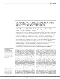 Exploring Icosahedral Virus Structures with Viper