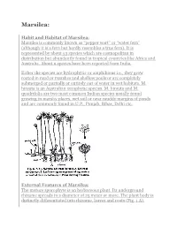 MARSILEA.Pdf