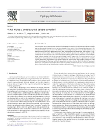 What Makes a Simple Partial Seizure Complex.Pdf
