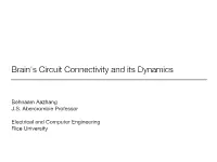 Brain's Circuit Connectivity and Its Dynamics