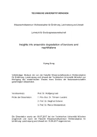 Insights Into Anaerobic Degradation of Benzene and Naphthalene